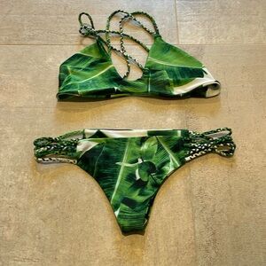 Stone fox swim